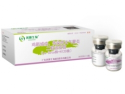 鸡新城疫、鸡传染性支气管炎二联活疫苗（La Sota 株+ H120 株）