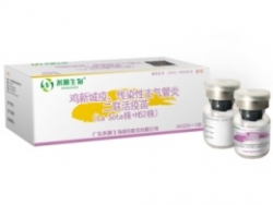 鸡新城疫、传染性支气管炎二联活疫苗（La Sota株+ H52株）
